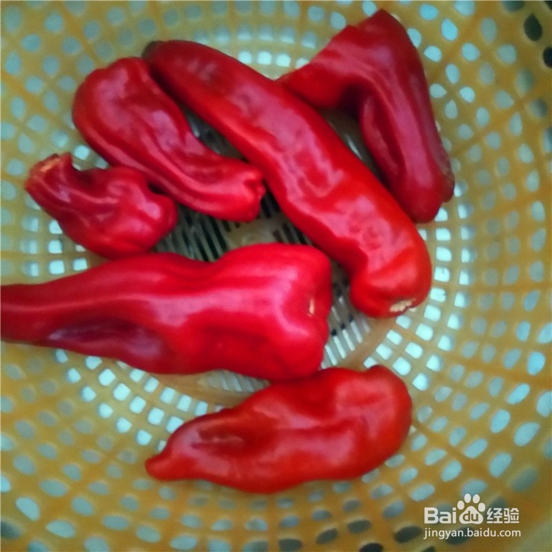 今晚吃什么菜好呢简单又好吃