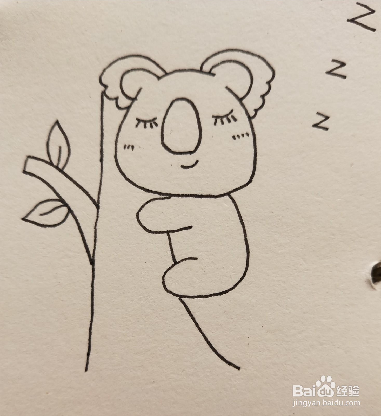 怎样画简笔画——考拉宝宝