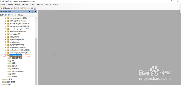 ASP.NET毕设项目运行安装步骤