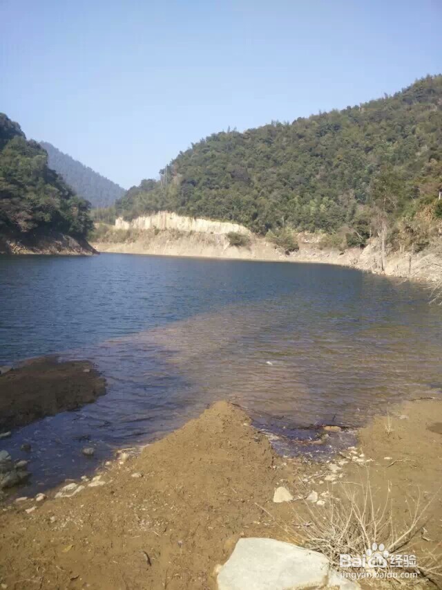 江西省马头山原始森林指南