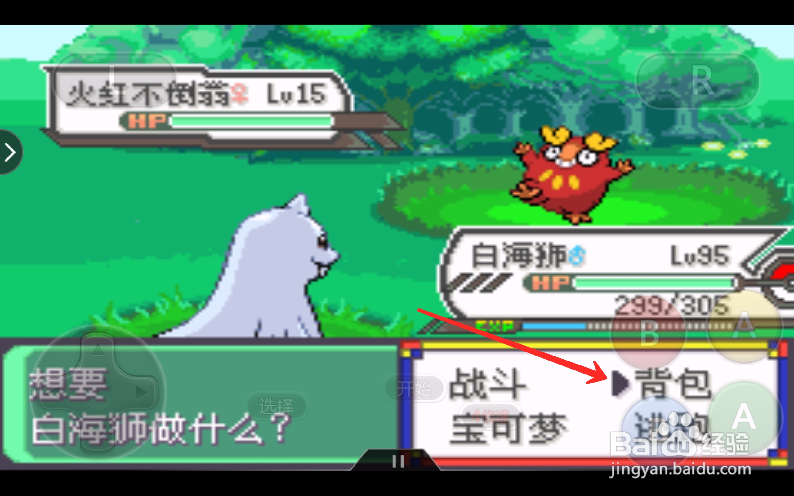 口袋妖怪火红不倒翁在哪抓