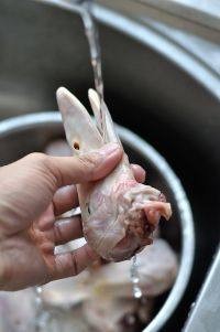 麻辣鸭头做法？