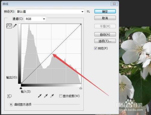 怎樣使用ps曲線調整照片