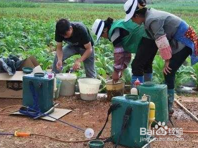 磷酸二氢钾的使用方法