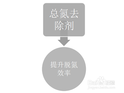脱氮过程中总氮去除菌剂有哪些作用?