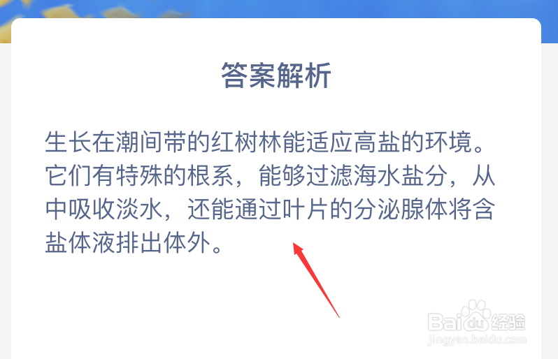 神奇海洋哪种海洋生态更适应高盐的潮间带环境
