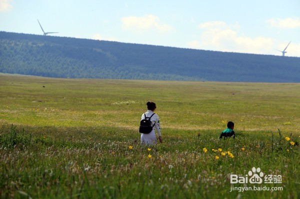 飞狐为邻,揭秘养在深闺中的空中草原!