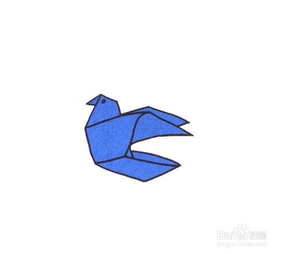 鸽子的折法 教程图片