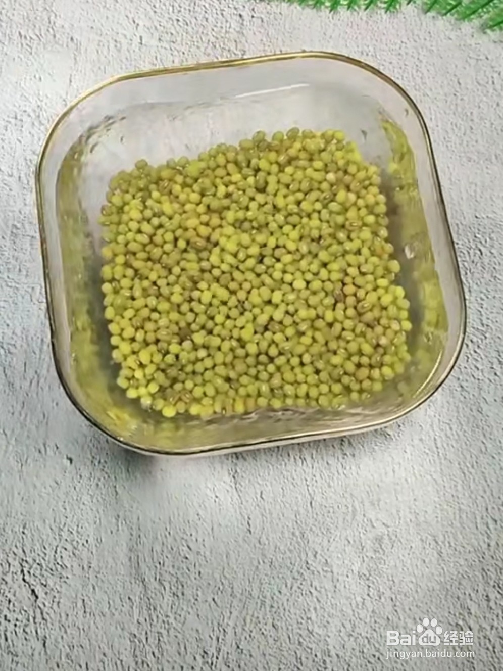 如何制作绿豆雪糕?