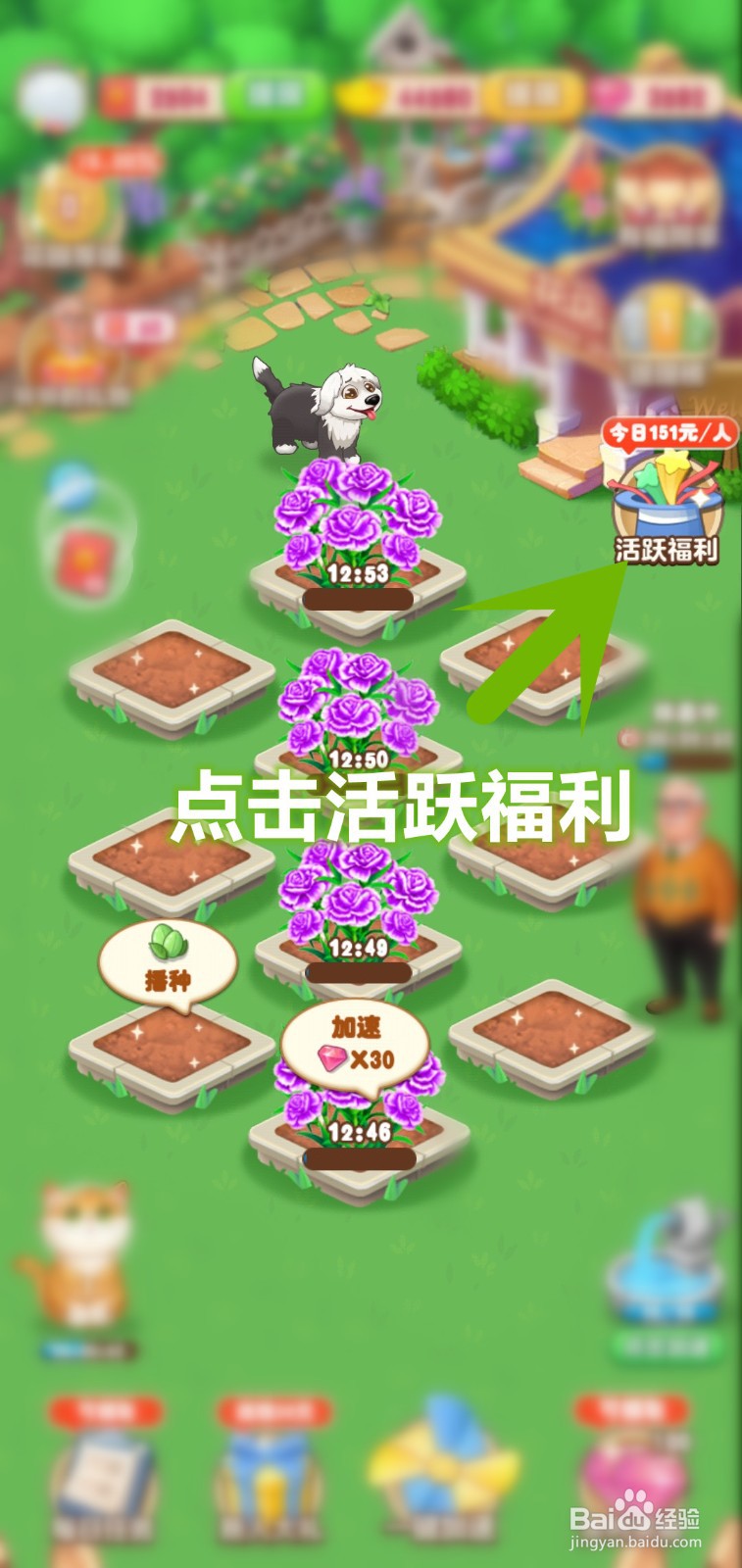 爷爷的花园活跃福利怎么领取