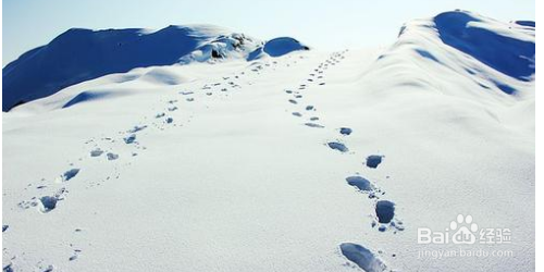 大象脚印在雪地里像什么 百度经验