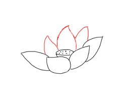 简笔画---怎么画荷花