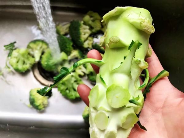 蚝油平菇西蓝花