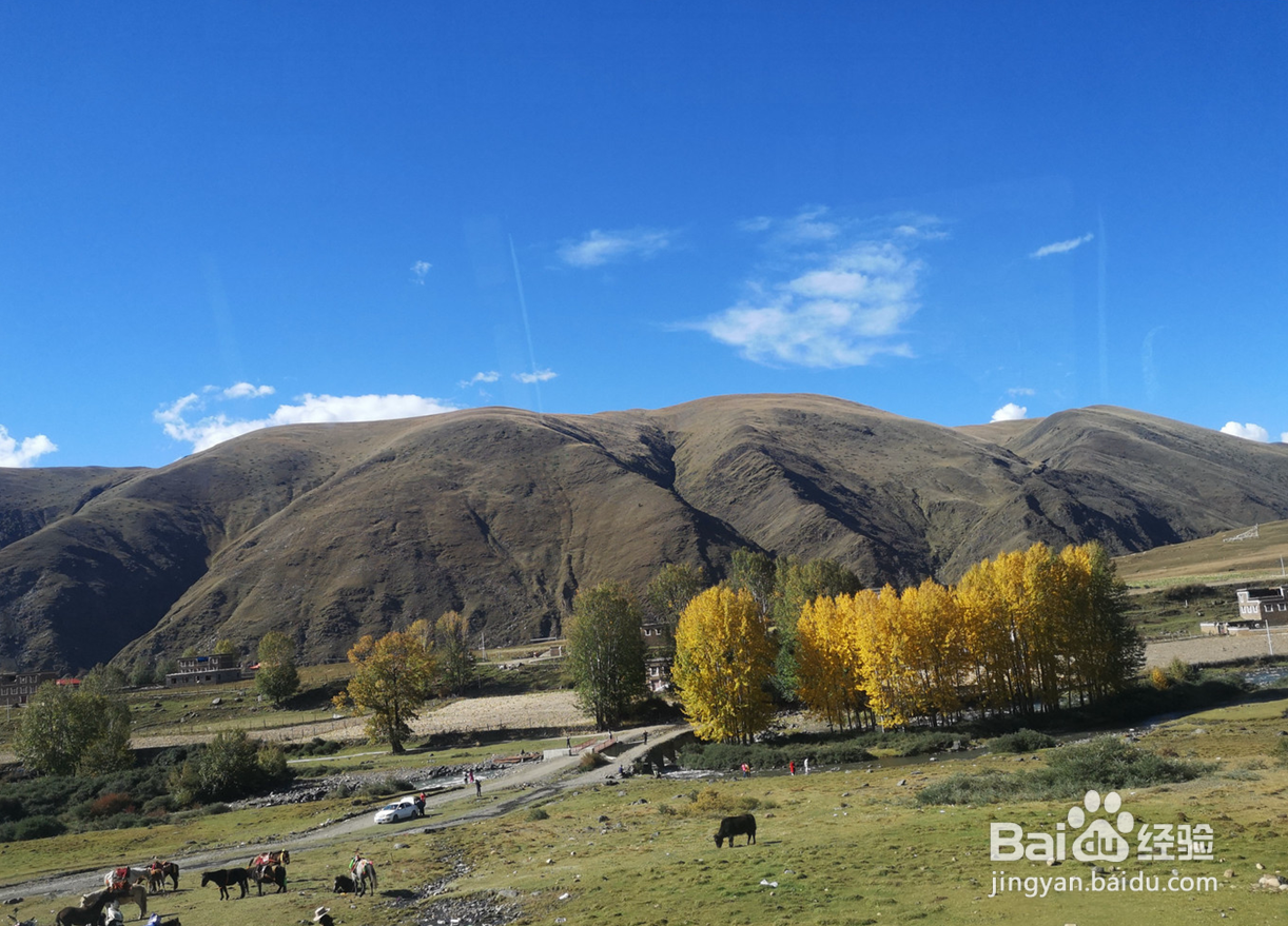 康定有什么好玩的