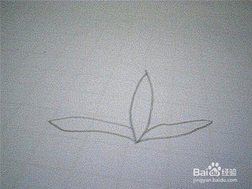 简笔画水仙花的画法