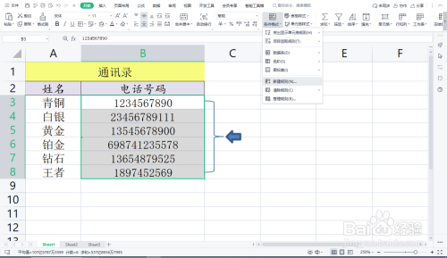 在excel表格中如何标记错误电话号码