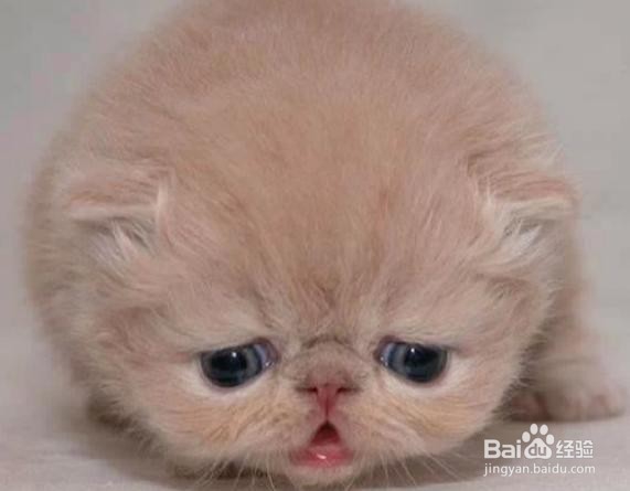 关节置换后怎样康复锻炼