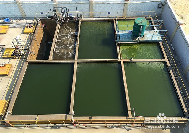 养殖场污水用絮凝剂的处理工艺