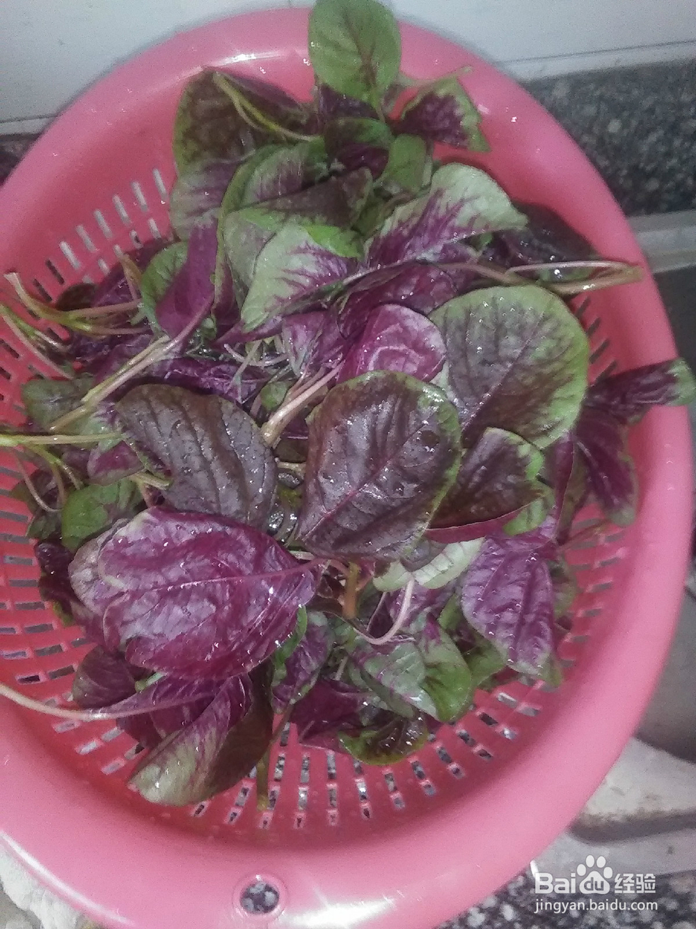 怎么做苋菜好吃?