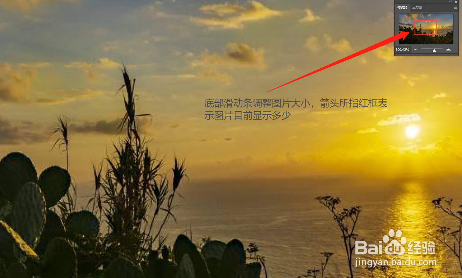 PS软件怎么打开导航器