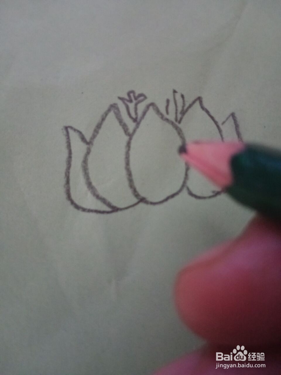 荷花的简笔画怎么画？