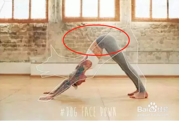 跟大师兄学瑜伽之下犬式 多少人被误导了