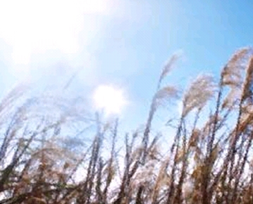 怎样应付野外旅游意外事故