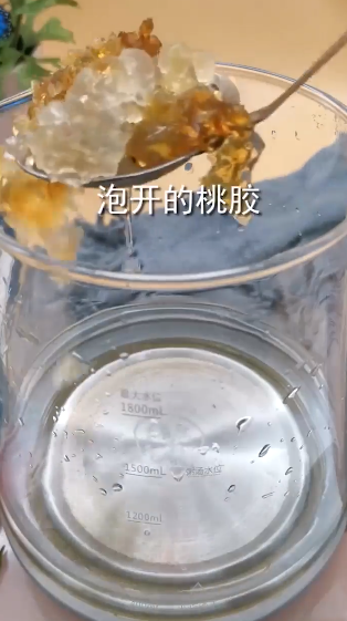 桃胶牛奶怎么做?