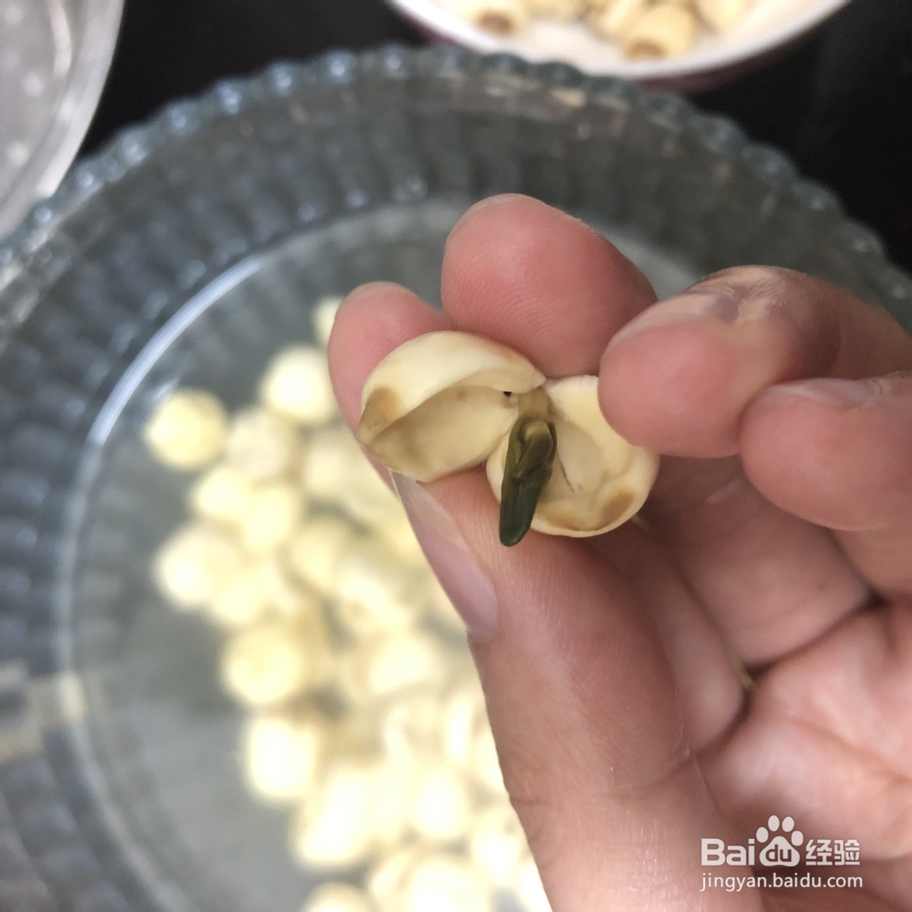 姨妈给我做银耳莲子枸杞糖水