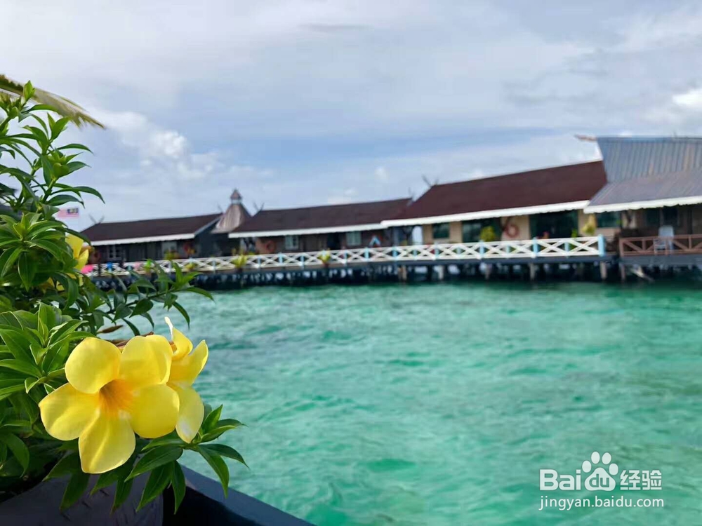 婆媳之间这些蠢话不能说。