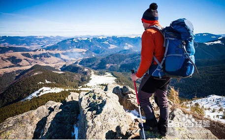 开始脱发怎么办