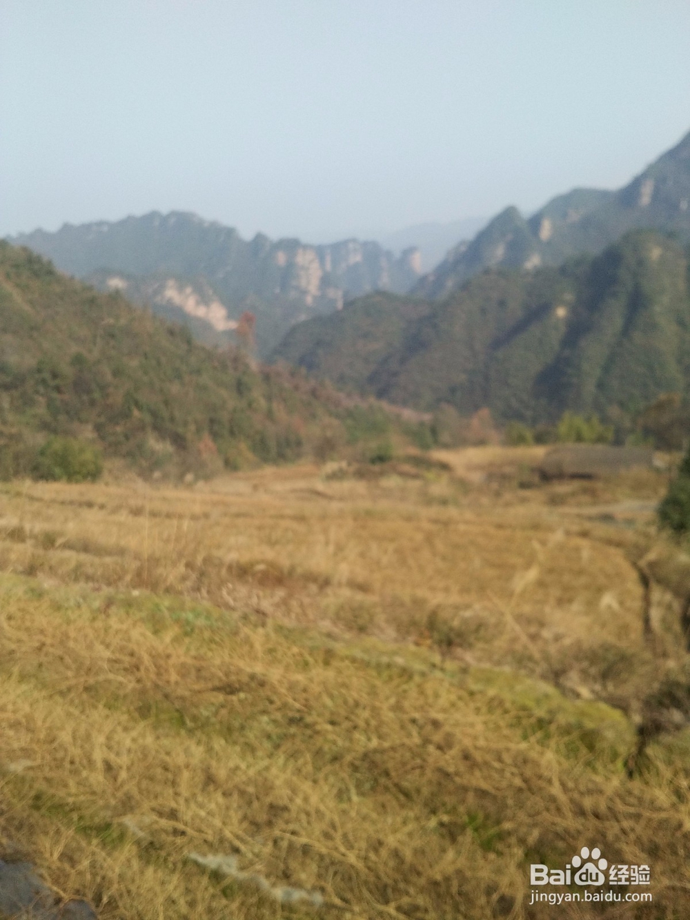 扶贫实现鸣凤人乡村旅游梦想记实