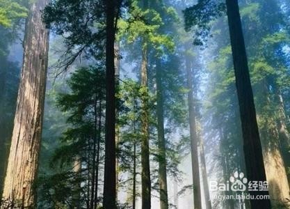 全球持续升温我们怎么办?