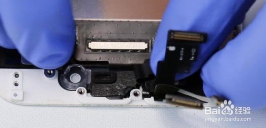 苹果iphone 6 plus拆机换屏教程