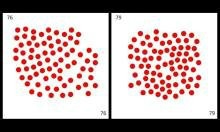 闪卡简介、分类
