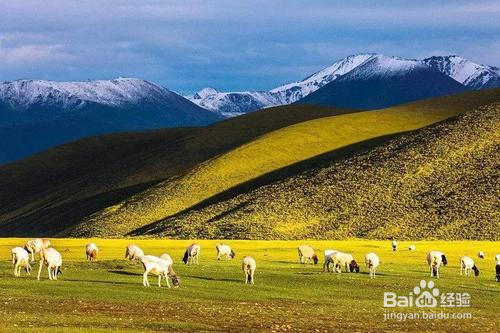 成都出发环大西北旅游攻略