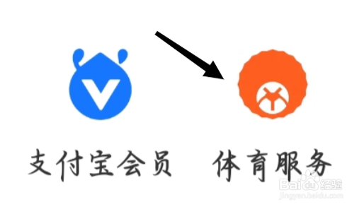 支付宝怎样查看体育服务