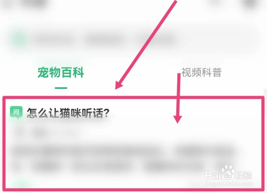 如何驯服猫咪