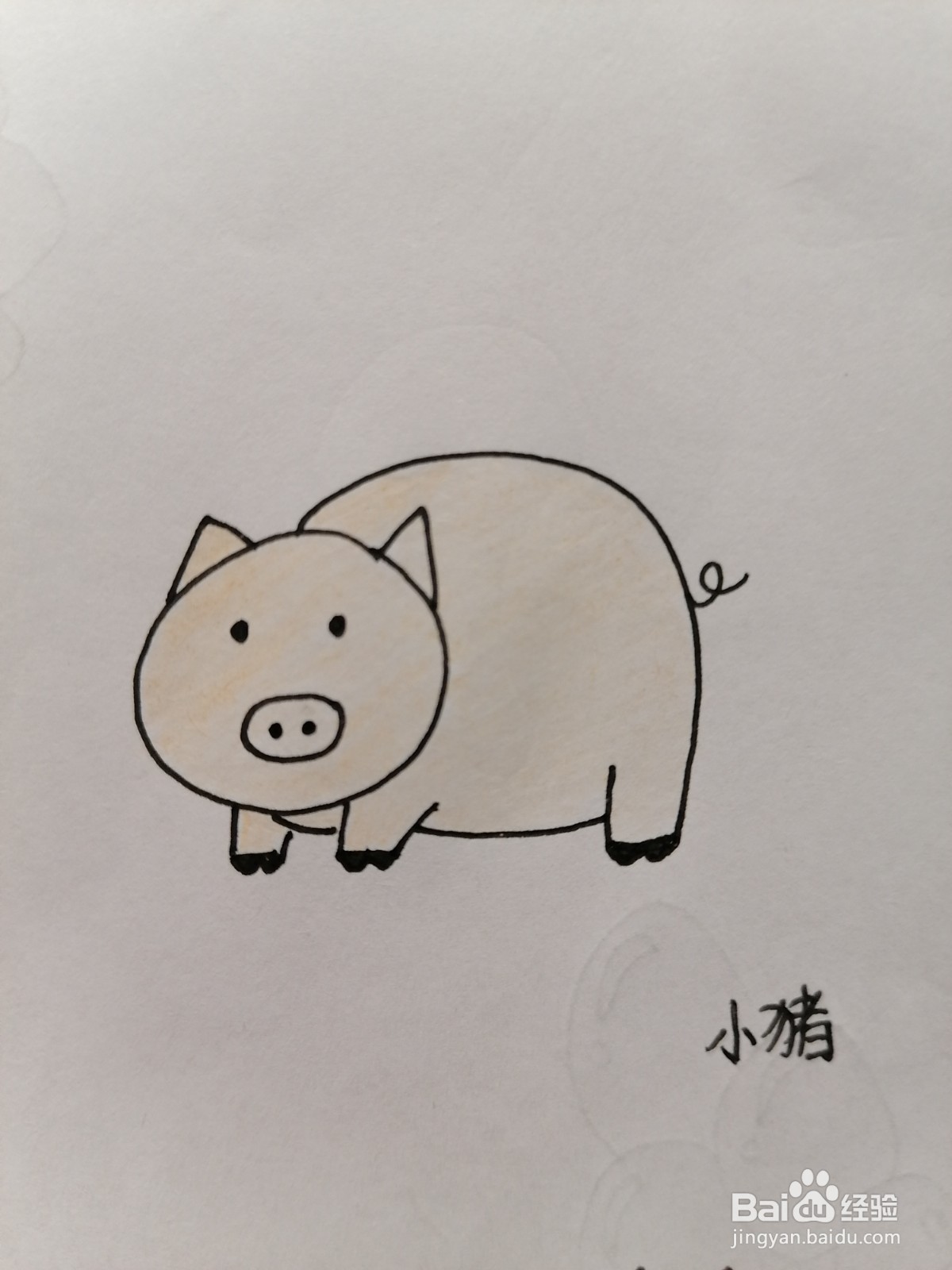 w画小猪的方法图片