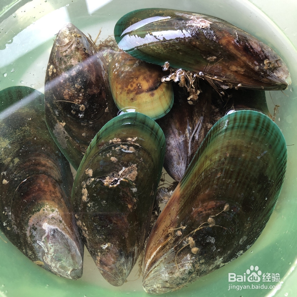 姐姐为我做的椰香白酒青口贝