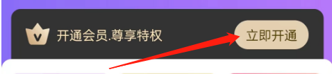友玩陪玩的会员如何开通