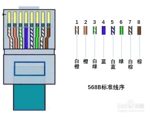 水晶头怎么接