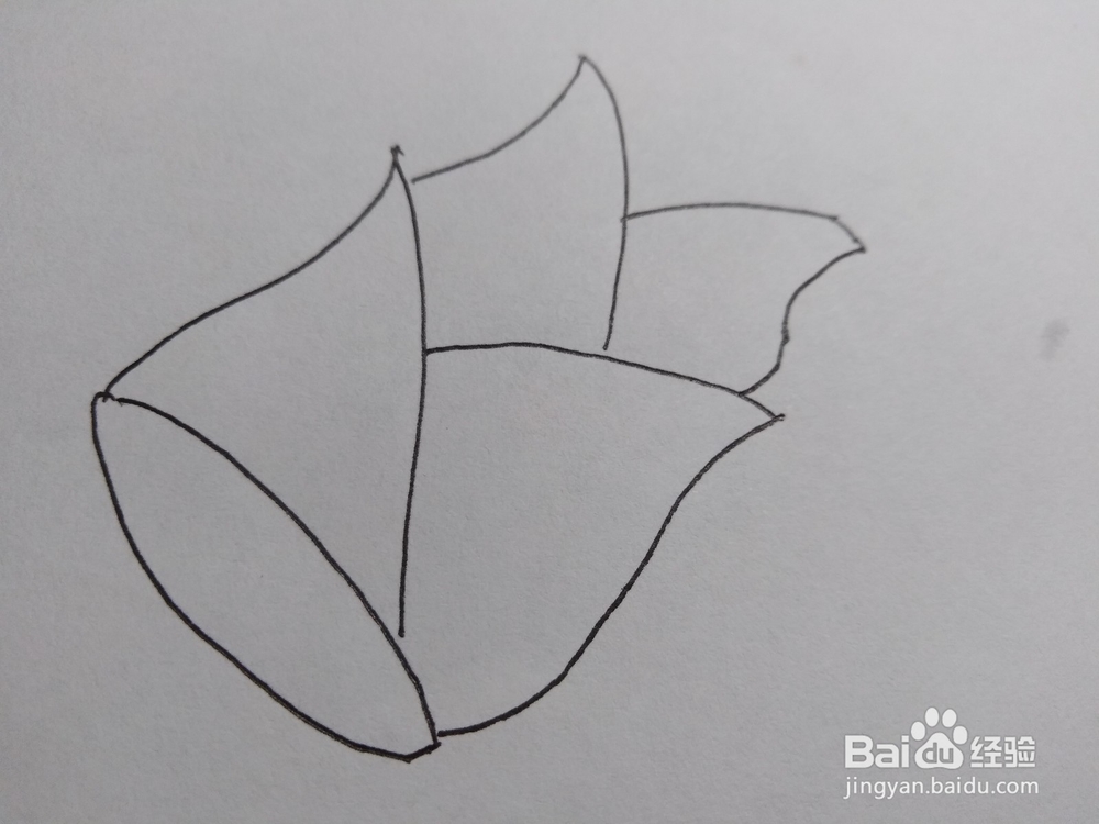 教你怎样画一个竹笋226