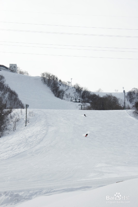 【日本】浪漫冬日 北海道の旅途（三）