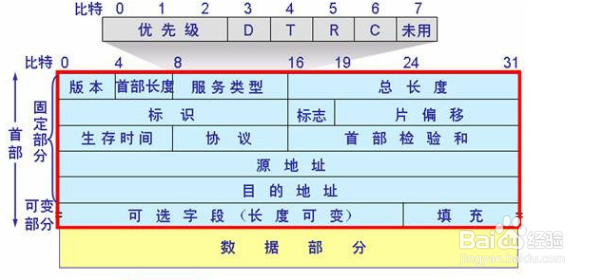 IP数据包代码抓包
