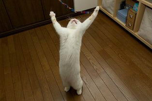 远离疾病,请坚持这几个生活小习惯。