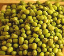 降压降脂的食物有哪些