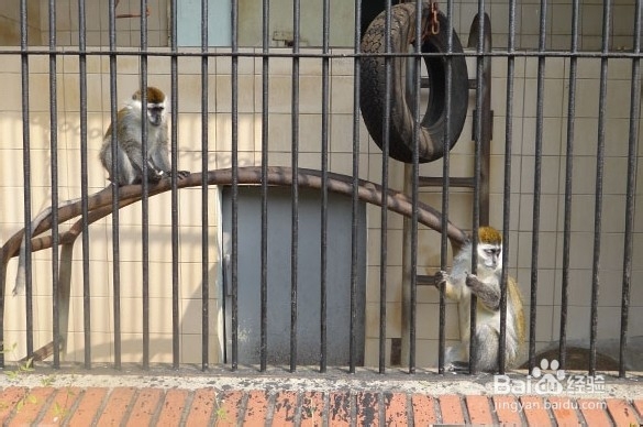 韩国光州牛峙公园旅游攻略