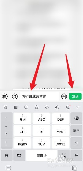新疆内初班考试成绩怎么查询