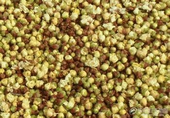 秘验单方 治疗糖尿病